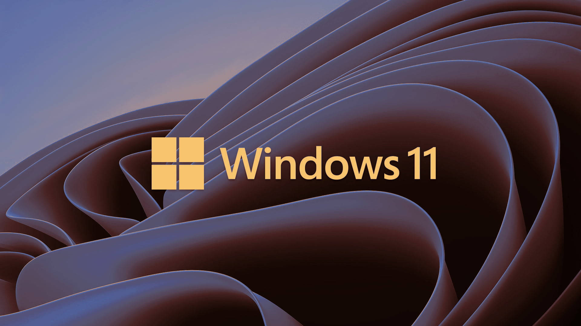 Windows 11 Pro
